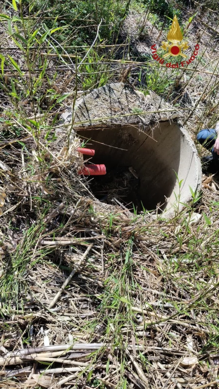 Donna cade in un pozzo al Parco della Pace: intervento dei soccorsi