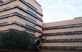 Ergastoli confermati per l’omicidio di “Passerotto”