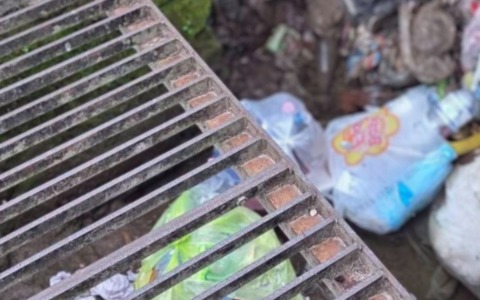 Iniziativa per la salvaguardia dei canali storici a Villa Adriana