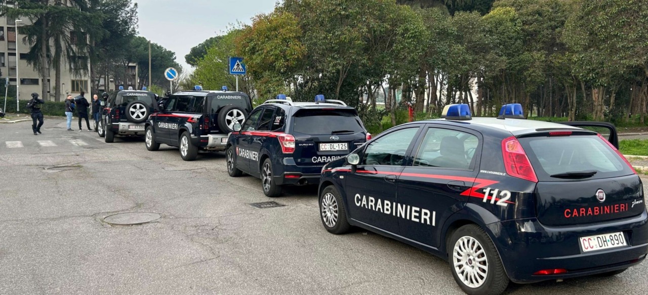 Operazione dei Carabinieri in provincia per contrastare l’illegalità