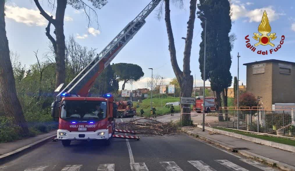 Albero pericolante, i Vigili del Fuoco intervengono a Tivoli