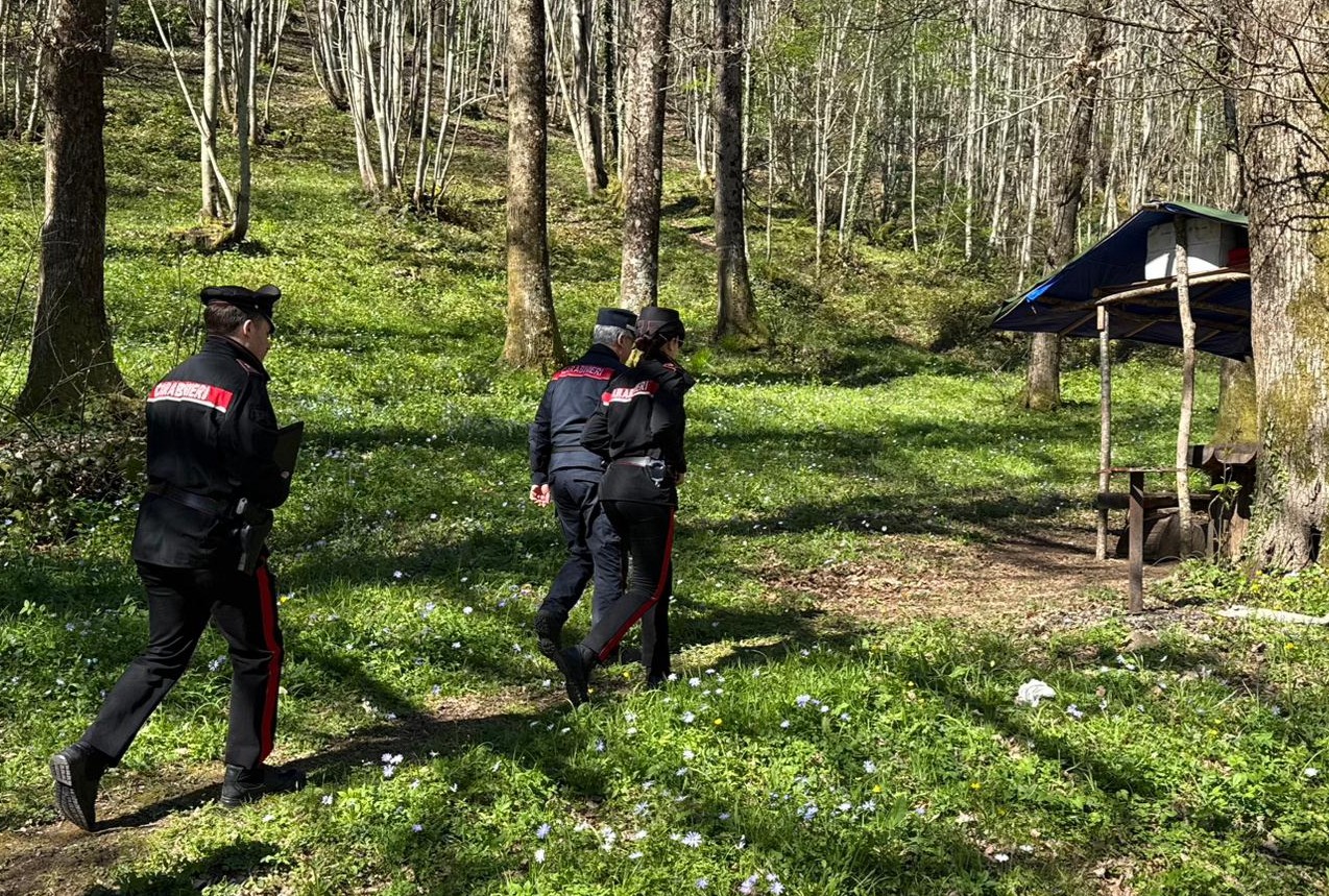 Controlli dei carabinieri durante Pasqua e Pasquetta: arresti e denunce