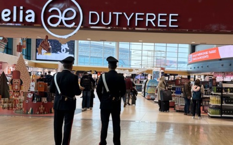 Controlli sui trasporti abusivi: multe e allontanamenti a Fiumicino