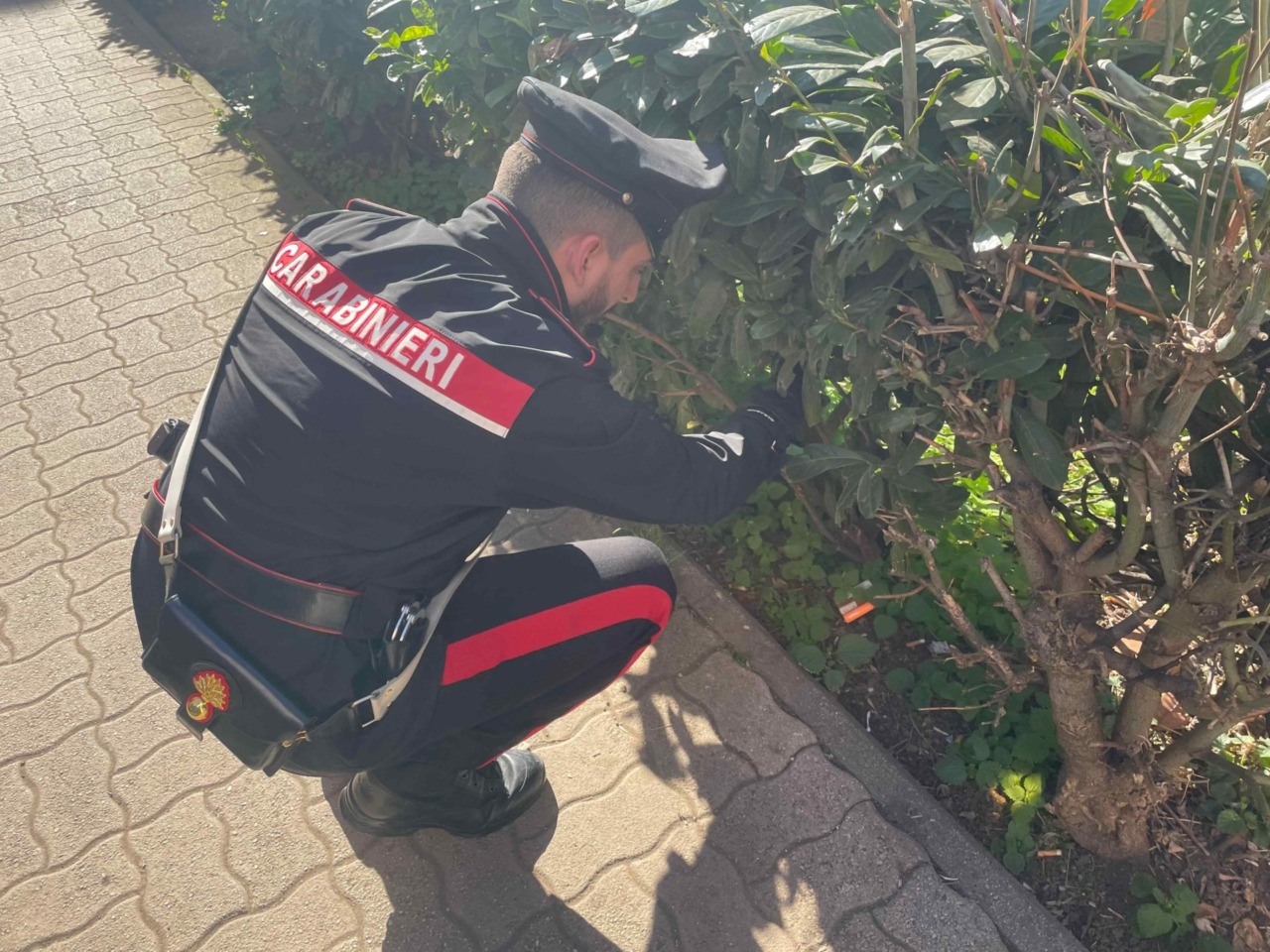 Droghe e arresti: operazione dei Carabinieri nella Capitale