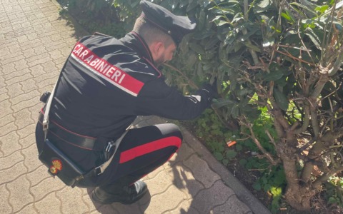 Droghe e arresti: operazione dei Carabinieri nella Capitale