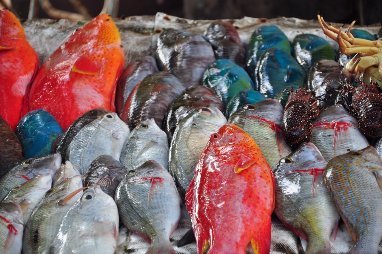 Le vendite di pesce tra preoccupazioni e trasformazioni