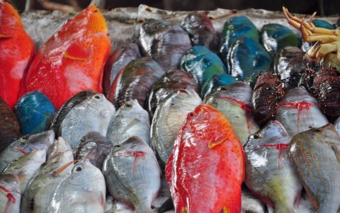 Le vendite di pesce tra preoccupazioni e trasformazioni