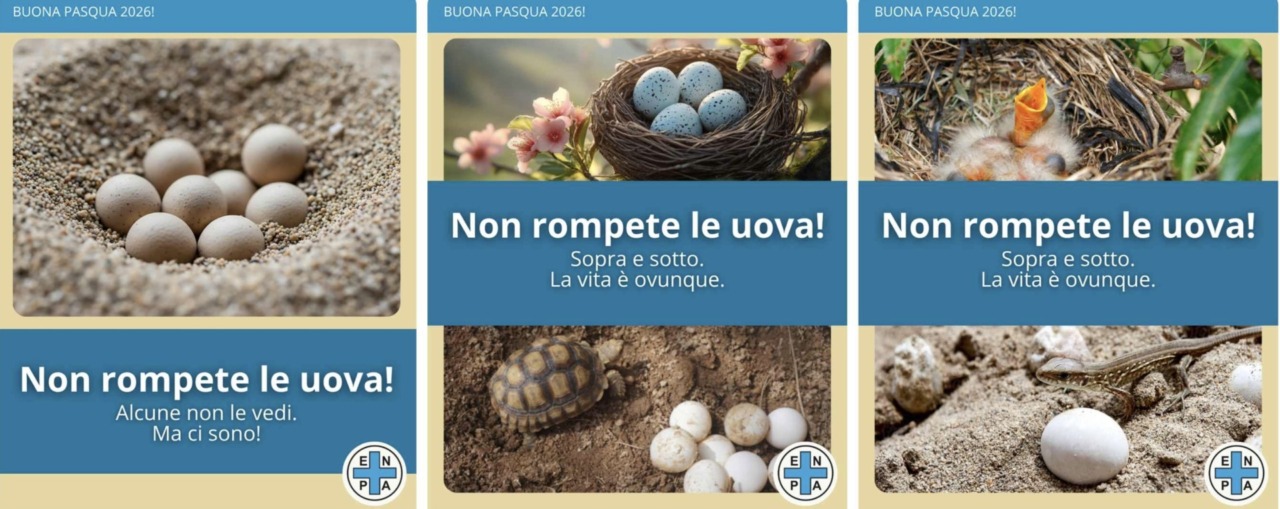 “Non rompete le uova!”, l’appello per la stagione primaverile