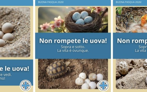 “Non rompete le uova!”, l’appello per la stagione primaverile