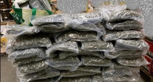 Oltre 100 chili di droga sequestrati al porto di Civitavecchia, arrestato un autotrasportatore