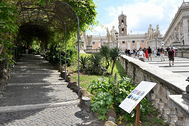 Riaperto il pergolato del Campidoglio dopo la riqualificazione