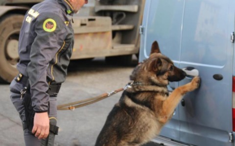 Smantellato un call center della droga tra Tarquinia e Santa Marinella: 10 arresti