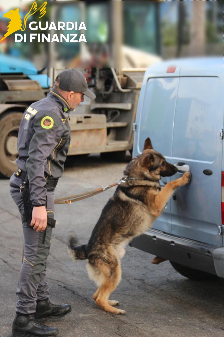 Smantellato un call center della droga tra Tarquinia e Santa Marinella: 10 arresti