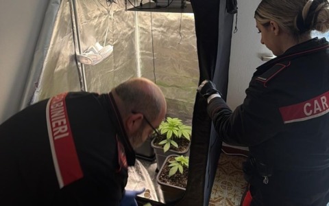 Un 27enne trasforma la sua casa in un centro di spaccio di droga